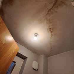 ceiling light repair